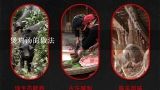 煲鸡汤的做法