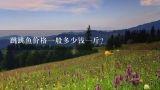 跳跳鱼价格一般多少钱一斤？跳跳鱼的市场价大概是多少？