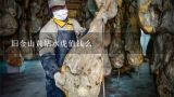 旧金山黄钻水虎值钱么,淡水黄钻鱼多少钱一斤