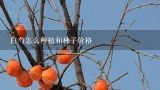 白芍怎么种植和种子价格,白芍种子种植方法？