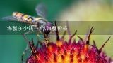 海蟹多少钱一斤,海蟹价格,海蟹多钱一斤？