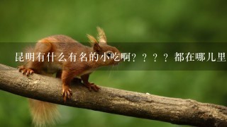 昆明有什么有名的小吃啊????都在哪儿里啊??? 昆明有什么有名的小吃啊????都在哪儿里啊???