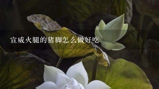 宣威火腿的猪脚怎么做好吃 宣威火腿的猪脚怎么做好吃