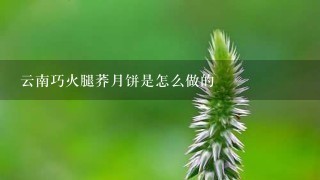 云南巧火腿荞月饼是怎么做的 云南巧火腿荞月饼是怎么做的