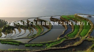 宣威火腿是不是用食盐发酵之后风干就行了,大概程序是什么? 宣威火腿是不是用食盐发酵之后风干就行了,大概程序是什么?