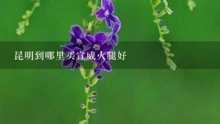 昆明到哪里买宣威火腿好 昆明到哪里买宣威火腿好