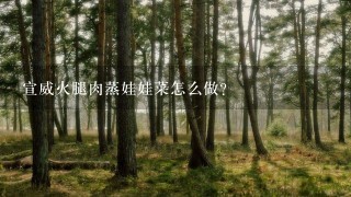 宣威火腿肉蒸娃娃菜怎么做? 宣威火腿肉蒸娃娃菜怎么做?