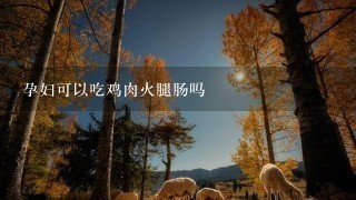 孕妇可以吃鸡肉火腿肠吗 孕妇可以吃鸡肉火腿肠吗
