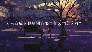 云南宣威火腿集团有限责任公司怎么样? 云南宣威火腿集团有限责任公司怎么样?