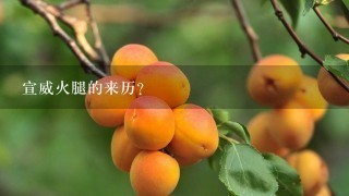 宣威火腿的来历? 宣威火腿的来历?