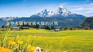 金华火腿和宣威火腿的区别 金华火腿和宣威火腿的区别