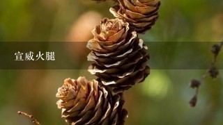 宣威火腿 宣威火腿