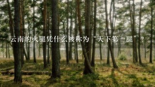 云南的火腿凭什么被称为“天下第一腿”? 云南的火腿凭什么被称为“天下第一腿”?