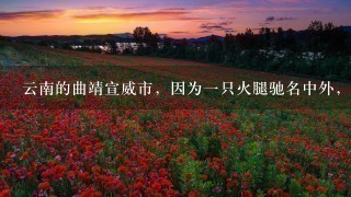 云南的曲靖宣威市,因为一只火腿驰名中外,这到底是怎么一回事? 云南的曲靖宣威市,因为一只火腿驰名中外,这到底是怎么一回事?