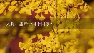 火腿,盛产于哪个国家? 火腿,盛产于哪个国家?