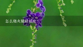 怎么烧火腿最好吃? 怎么烧火腿最好吃?