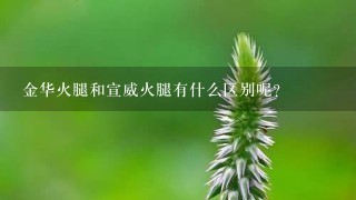 金华火腿和宣威火腿有什么区别呢? 金华火腿和宣威火腿有什么区别呢?
