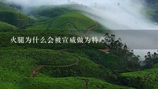 火腿为什么会被宣威做为特产? 火腿为什么会被宣威做为特产?