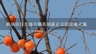 曲靖市什么地方能买到最正宗的宣威火腿 曲靖市什么地方能买到最正宗的宣威火腿