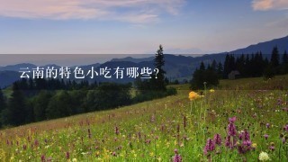 云南的特色小吃有哪些? 云南的特色小吃有哪些?