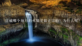 宣威哪个地方的火腿是最正宗的?为什么呢? 宣威哪个地方的火腿是最正宗的?为什么呢?
