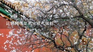 昆明到哪里买宣威火腿好 昆明到哪里买宣威火腿好