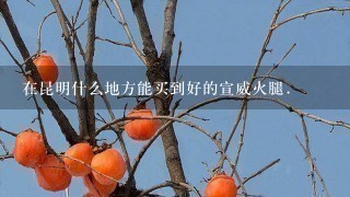 在昆明什么地方能买到好的宣威火腿. 在昆明什么地方能买到好的宣威火腿.