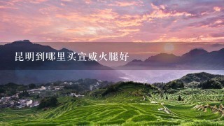 昆明到哪里买宣威火腿好 昆明到哪里买宣威火腿好