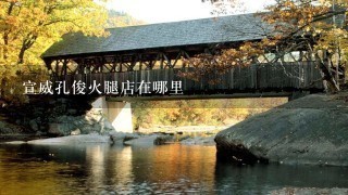 宣威孔俊火腿店在哪里 宣威孔俊火腿店在哪里