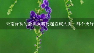 云南禄劝的撒坝火腿比起宣威火腿,哪个更好吃一点? 云南禄劝的撒坝火腿比起宣威火腿,哪个更好吃一点?