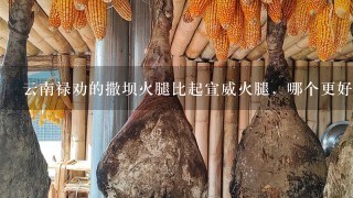 云南禄劝的撒坝火腿比起宣威火腿,哪个更好吃一点? 云南禄劝的撒坝火腿比起宣威火腿,哪个更好吃一点?