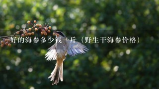 好的海参多少钱1斤(野生干海参价格) 好的海参多少钱1斤(野生干海参价格)