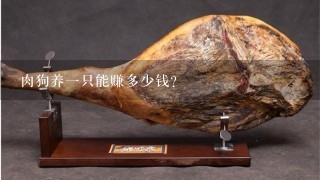 肉狗养1只能赚多少钱？