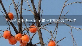 羊蝎子多少钱1斤 羊蝎子有哪些营养价值 羊蝎子多少钱1斤 羊蝎子有哪些营养价值