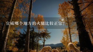 宣威哪个地方的火腿比较正宗? 宣威哪个地方的火腿比较正宗?