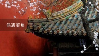 偶遇菱角