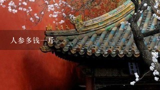 人参多钱1斤 人参多钱1斤