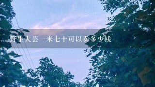 野生大芸1米7十可以卖多少钱 野生大芸1米7十可以卖多少钱