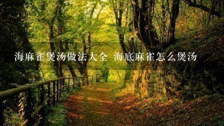 海麻雀煲汤做法大全 海底麻雀怎么煲汤 海麻雀煲汤做法大全 海底麻雀怎么煲汤
