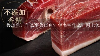 鲁斑鱼，什么事鲁斑鱼？学名叫什么？网上怎么搜不到