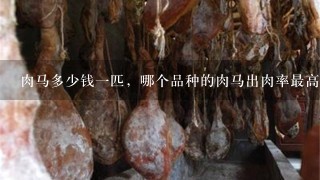 肉马多少钱1匹,哪个品种的肉马出肉率最高? 肉马多少钱1匹,哪个品种的肉马出肉率最高?