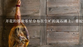 开花的塔黄0星分布在空旷的流石滩上,蕈蚊是如何及时发现它 们的呢?原来蕈蚊头上的触角就像人类的鼻子,能感受并—不同 的气... 开花的塔黄0星分布在空旷的流石滩上,蕈蚊是如何及时发现它 们的呢?原来蕈蚊头上的触角就像人类的鼻子,能感受并—不同 的气...