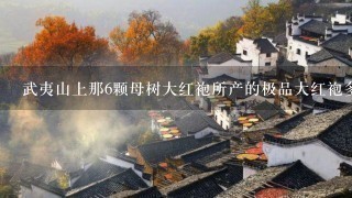 武夷山上那6颗母树大红袍所产的极品大红袍多少钱1两 武夷山上那6颗母树大红袍所产的极品大红袍多少钱1两