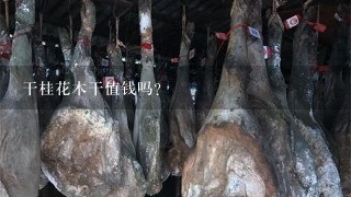 干桂花木干值钱吗? 干桂花木干值钱吗?