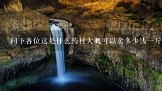 问下各位这是什么药材大概可以卖多少钱1斤 问下各位这是什么药材大概可以卖多少钱1斤
