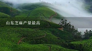 山东芝麻产量最高 山东芝麻产量最高
