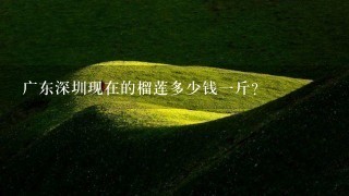 广东深圳现在的榴莲多少钱1斤? 广东深圳现在的榴莲多少钱1斤?