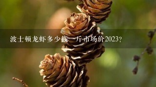 波士顿龙虾多少钱1斤市场价2023? 波士顿龙虾多少钱1斤市场价2023?