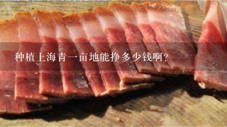 种植上海青1亩地能挣多少钱啊? 种植上海青1亩地能挣多少钱啊?