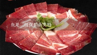 鱵鱼是2级保护鱼类吗 鱵鱼是2级保护鱼类吗